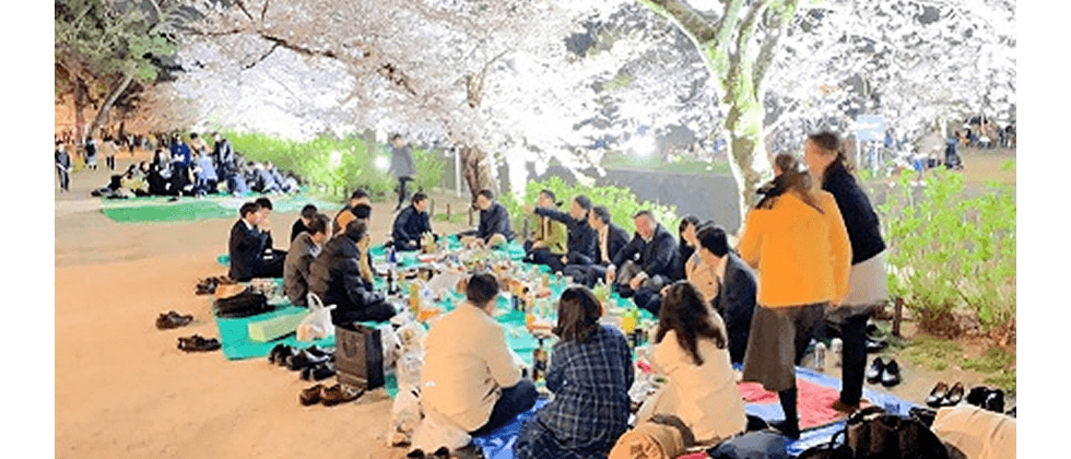 社内交流会（お花見）